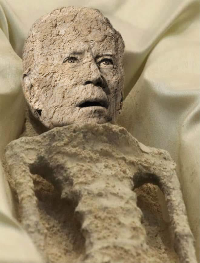 1694707673244.png