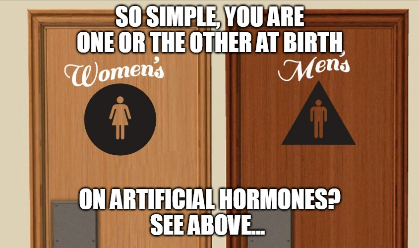 1697453025873.png