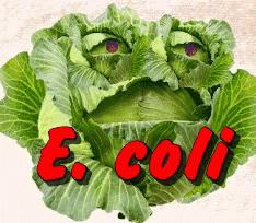 16A9AD43-1B2B-432A-9D13-1C94A7C5C220.gif