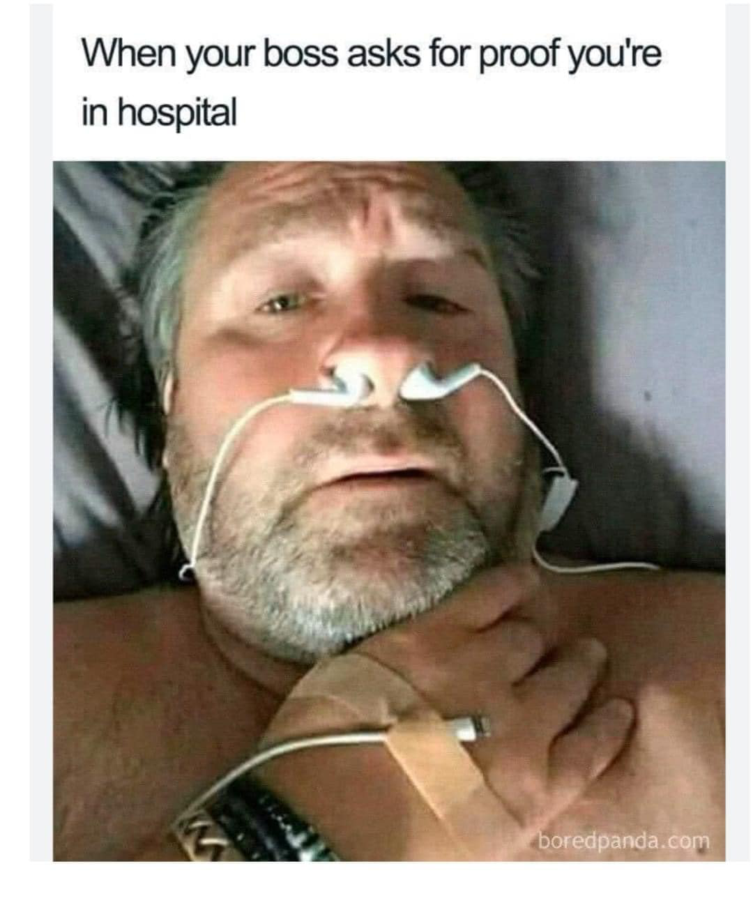 1706588096931.png