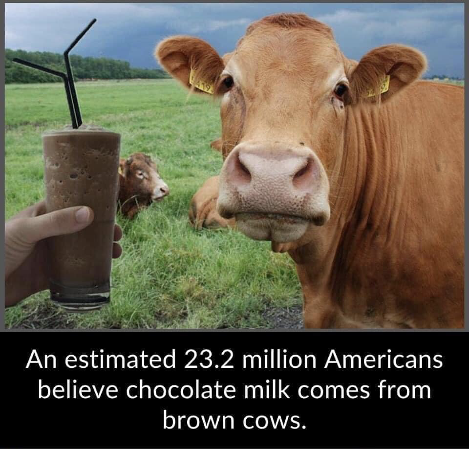 1706895393956.png