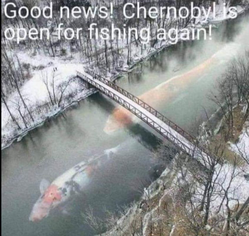 1706925548310.png