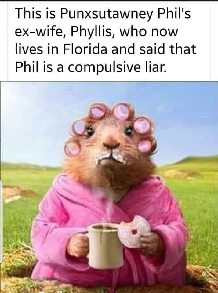 1706937378965.png