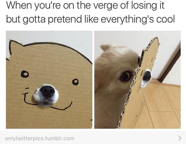 1707913176371.png