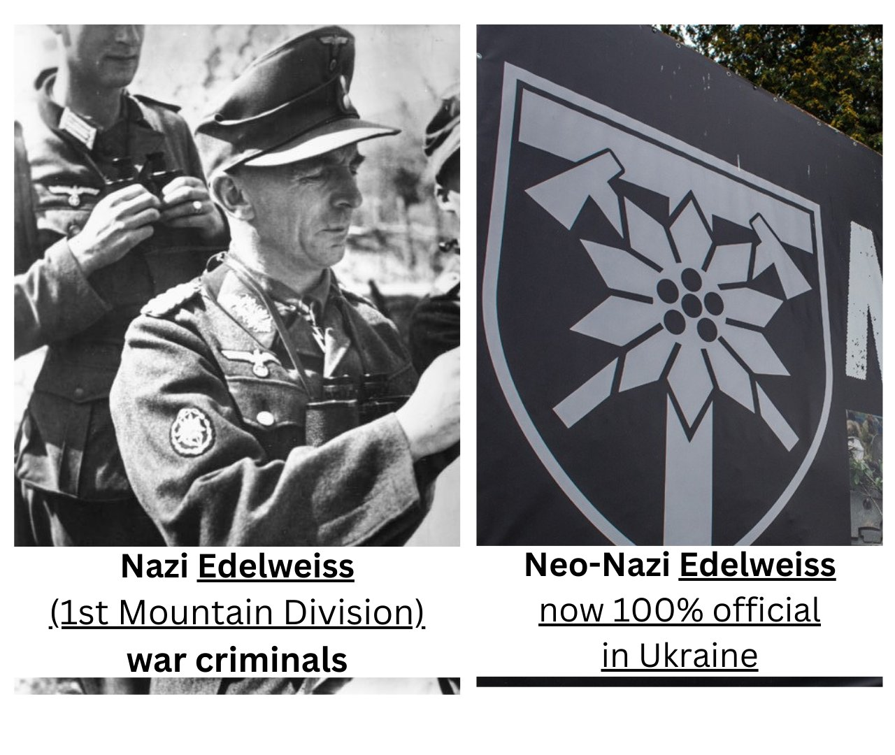 1708786111969.png