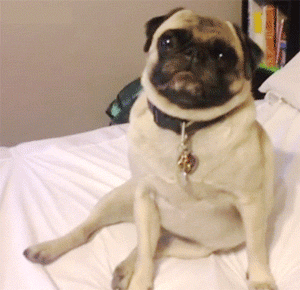 170B9EE7-96DF-447B-8778-88CCC21867B3.gif