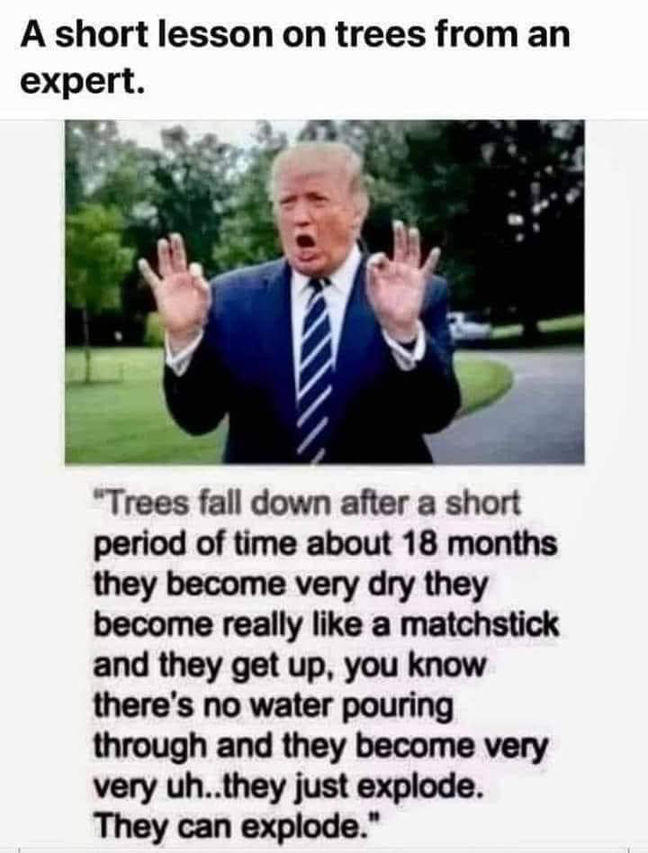 1710619292796.png