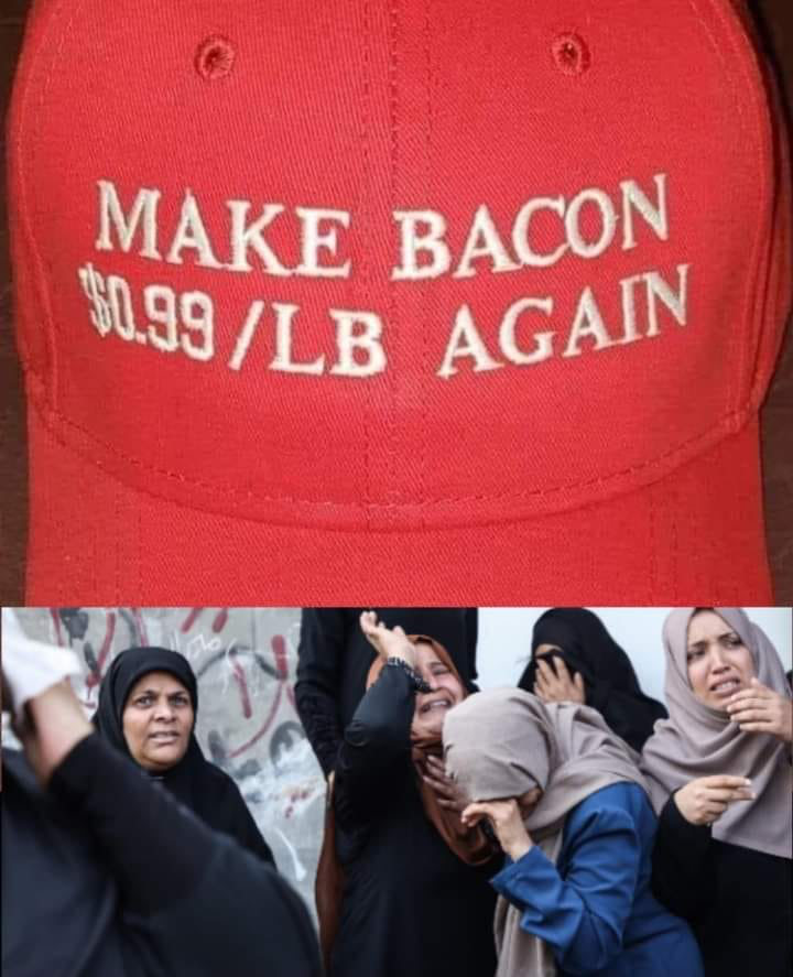 1710861213038.png