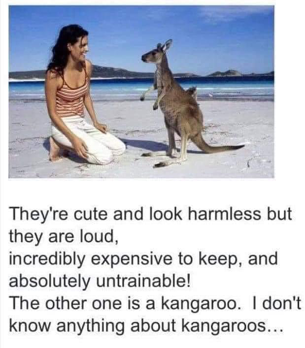 1711307736522.png