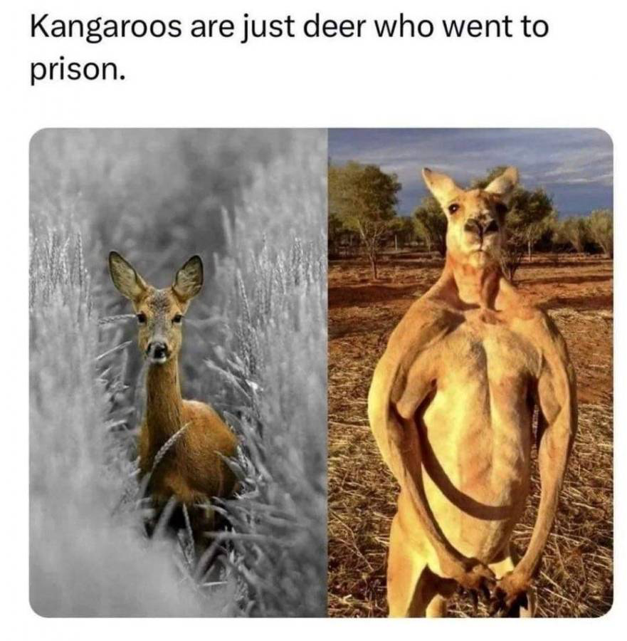 1711495709241.png