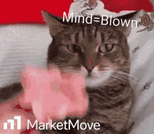 1714310504350.gif