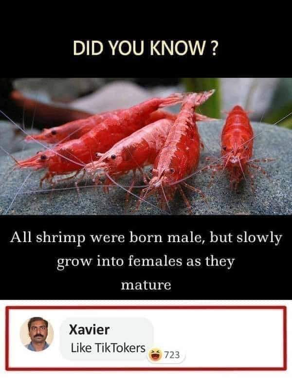 1718076197028.png