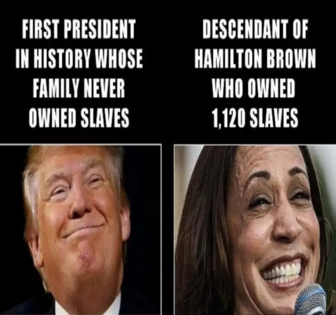 1721788274762.png
