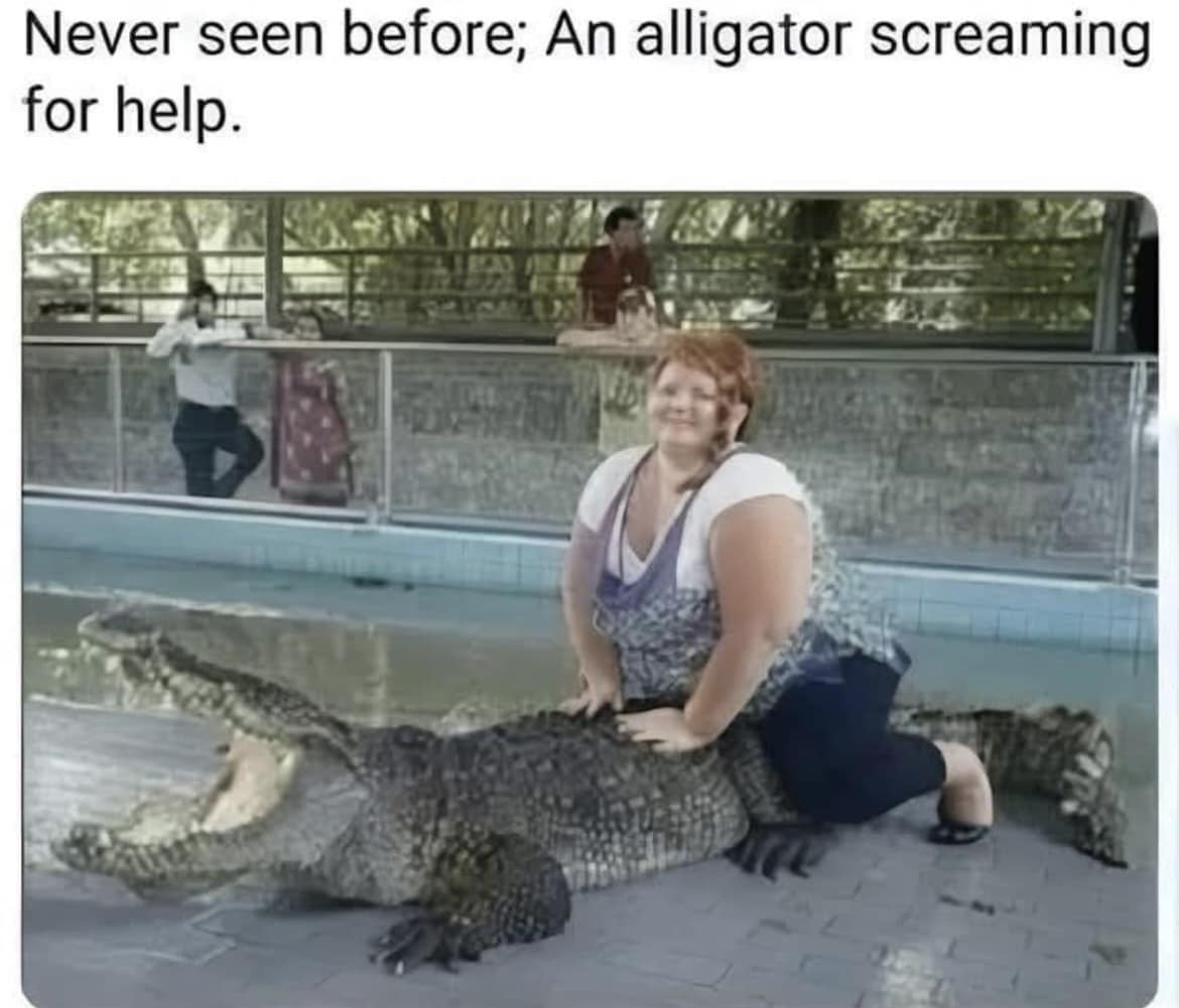 1738119980268.png