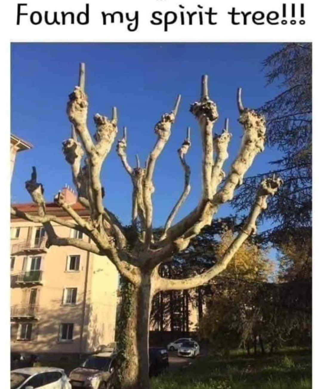 1739975057832.png