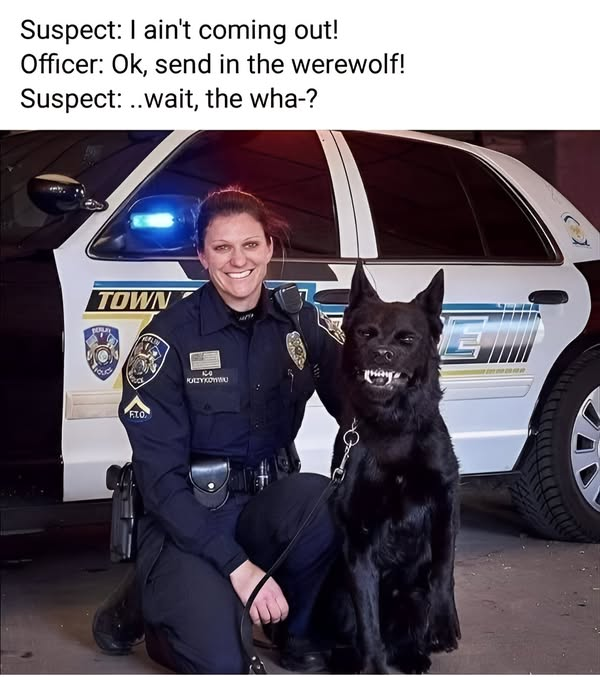 1740195984984.png