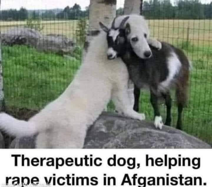 1740359140845.png