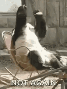 1741124651321.gif