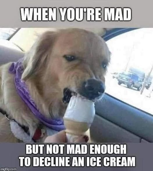 1741637850928.png