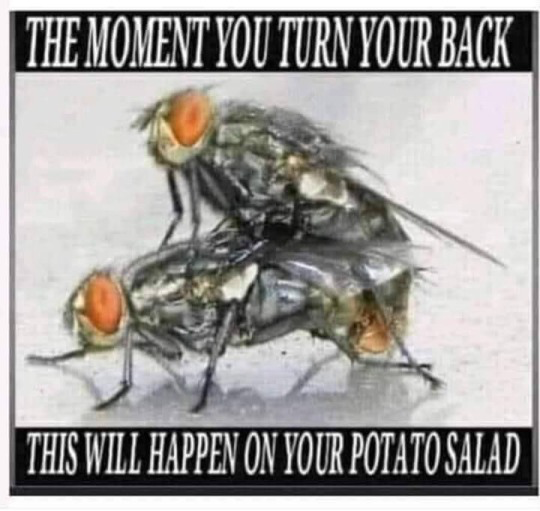 1741701499201.png
