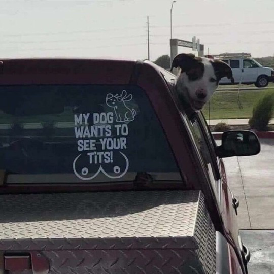 1741701614828.png