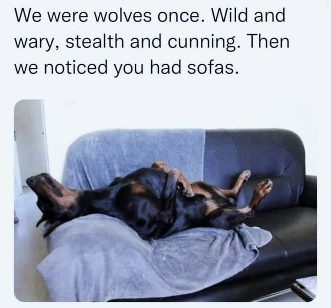 1743194672607.png