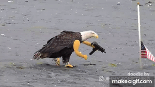 1743216730930.gif