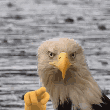 1743261799862.gif