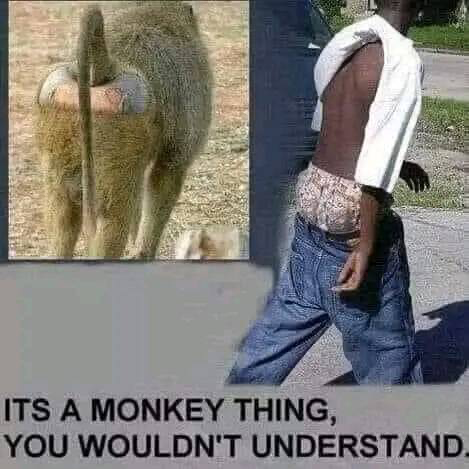 1743302253592.png