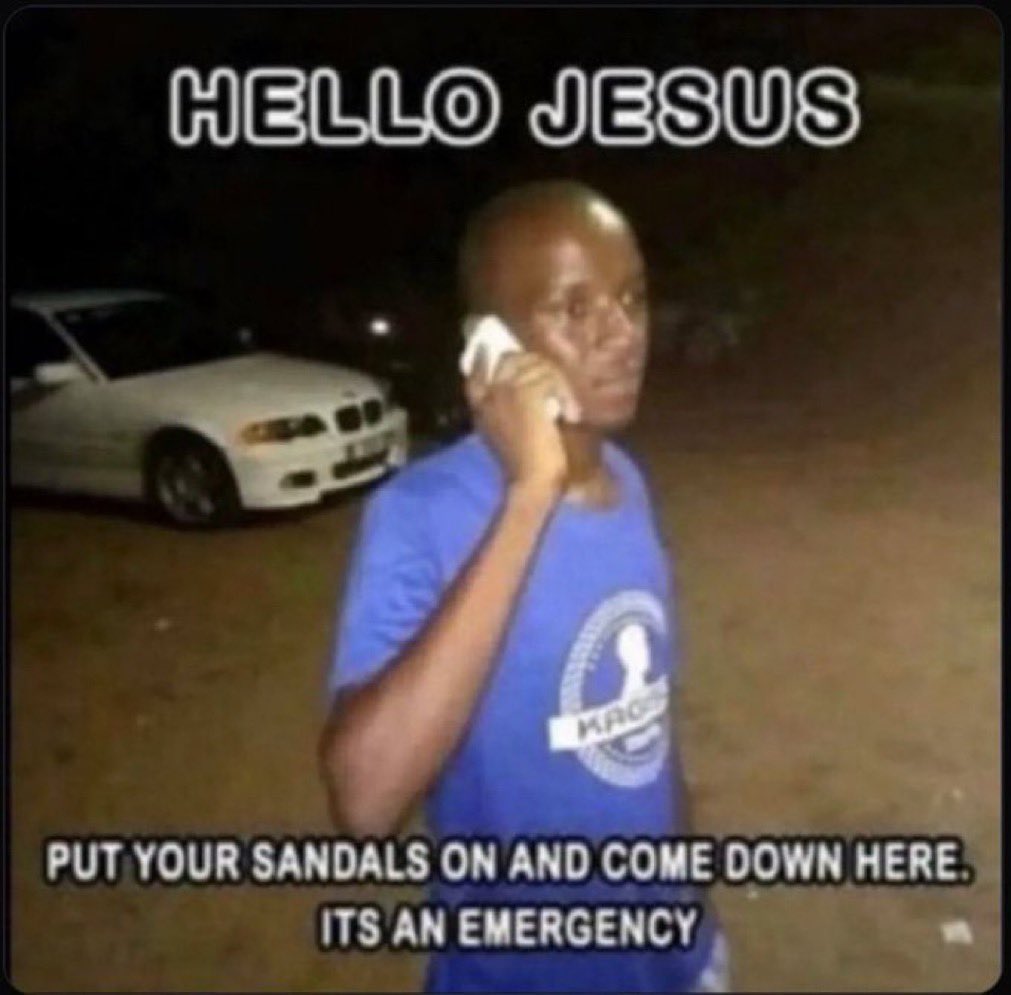1743368556456.jpeg