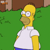 1745012463936.gif
