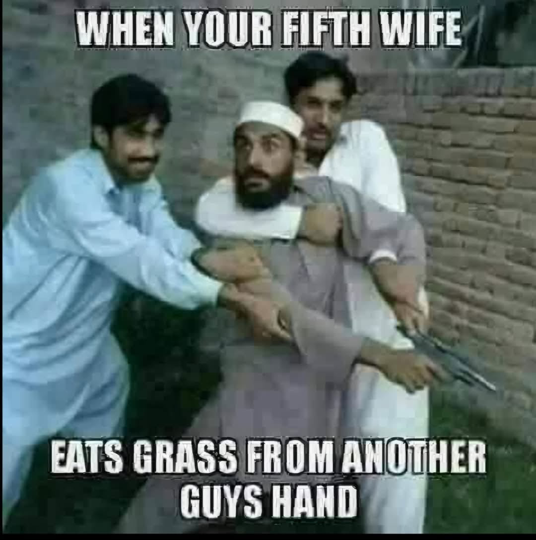 1745067580720.png