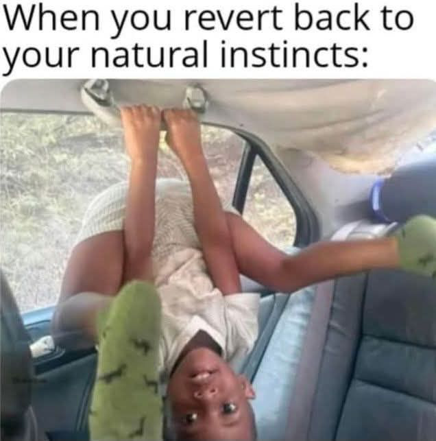 1745723853629.png