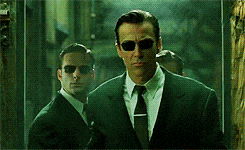 1746611964398.gif