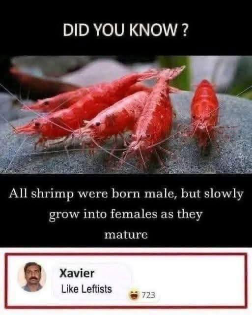 1748388573454.png