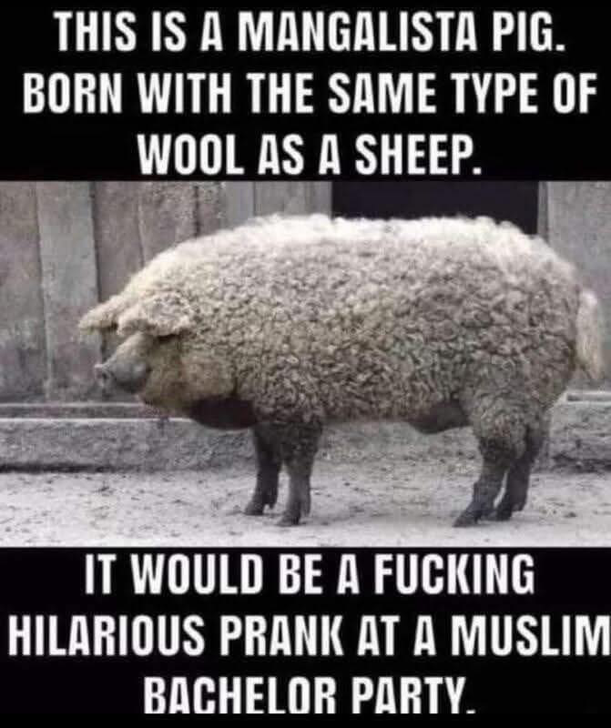 1748389164471.png