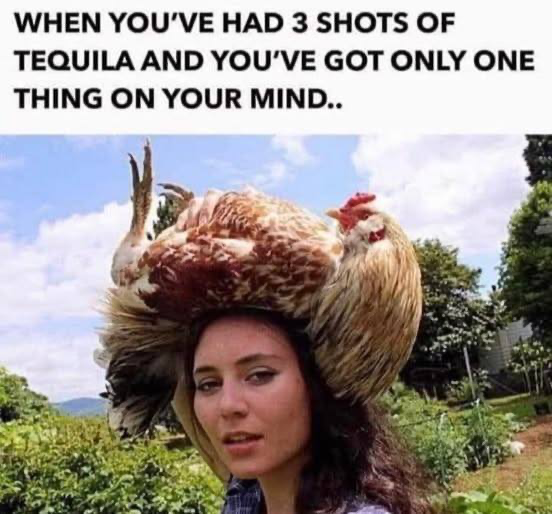 1748634011624.png
