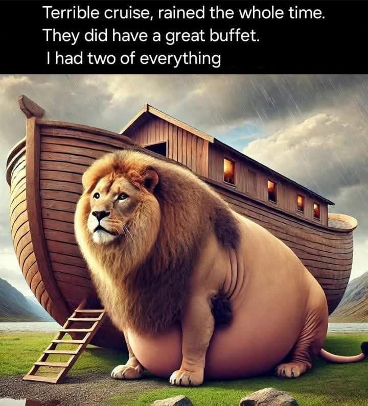 1749824039345.png
