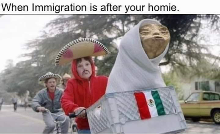 1749903098392.png