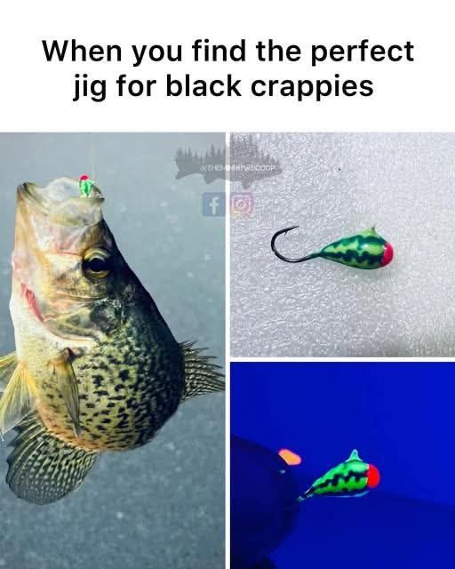1750129393058.png
