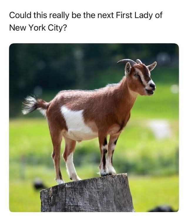 1751143429031.png