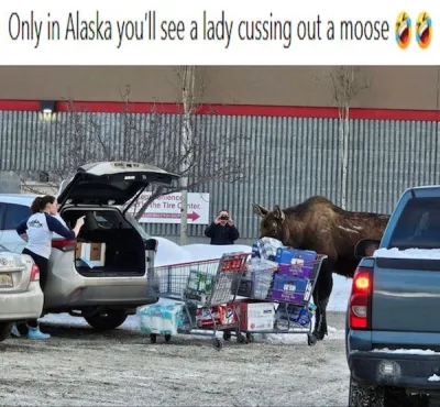 1751719430823.png