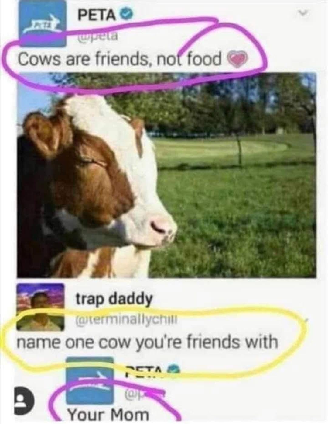 1751911835588.png