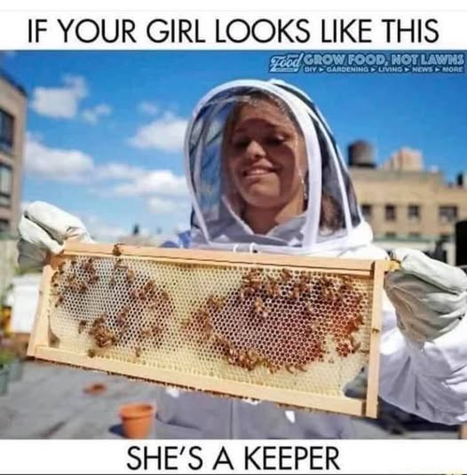 1752030200397.png