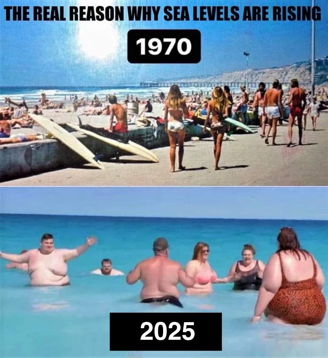1753217034380.png