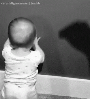 1753239131817.gif