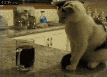 1836626-23.gif