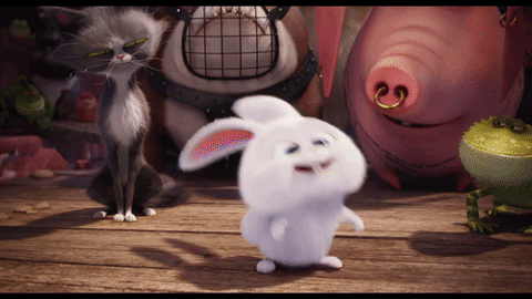 1C51003D-1147-4C5E-BC18-AC9FF2595706.gif