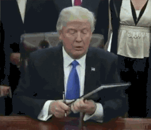 1D7ECBB2-8754-4A7E-813C-9293BE6358D9.gif