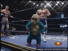 1DCB1FC8-3B40-45BF-9030-B7D906134ACD.gif